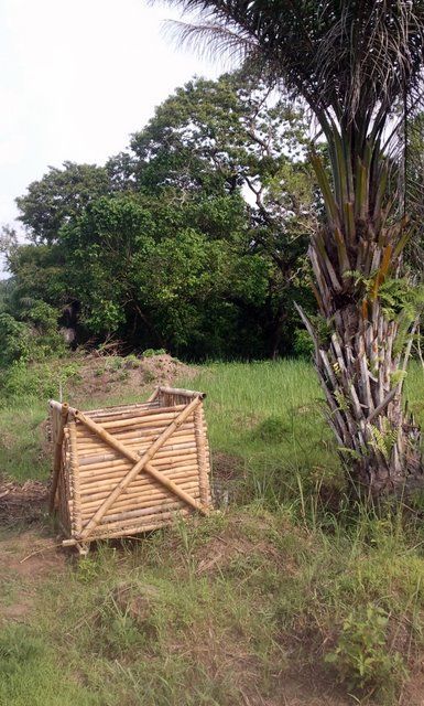 16 bamboo dumpster