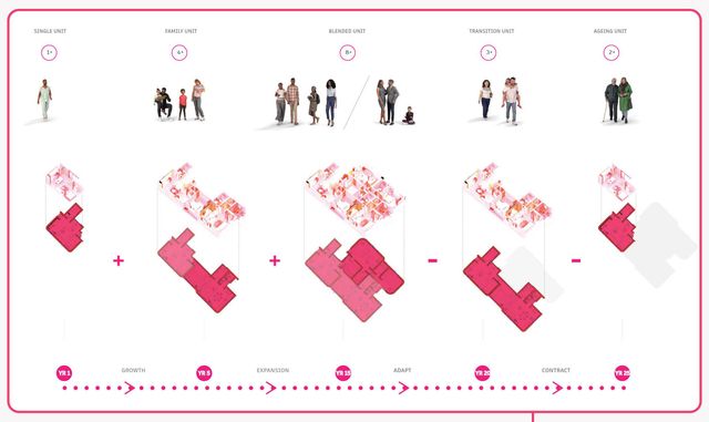 drawing Timeline
